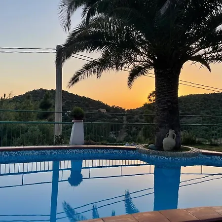 Villaoasi